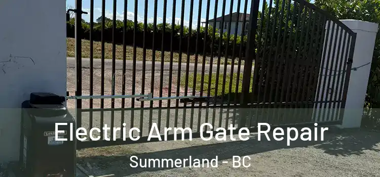 Electric Arm Gate Repair Summerland - BC