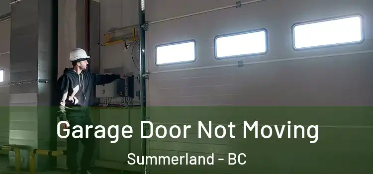  Garage Door Not Moving Summerland - BC