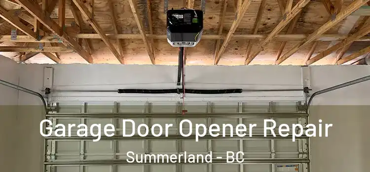 Garage Door Opener Repair Summerland - BC