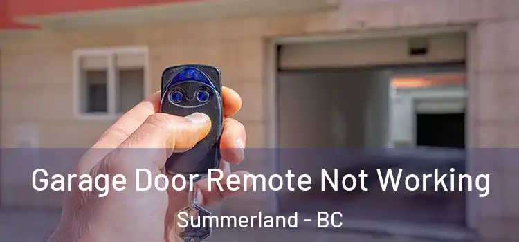  Garage Door Remote Not Working Summerland - BC