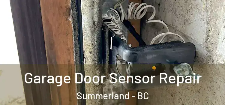 Garage Door Sensor Repair Summerland - BC