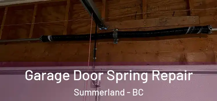 Garage Door Spring Repair Summerland - BC